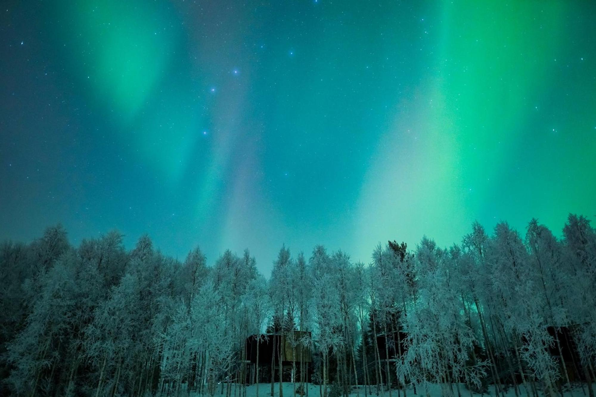 Silver Birch Resort Lapland Rovaniemi Dış mekan fotoğraf